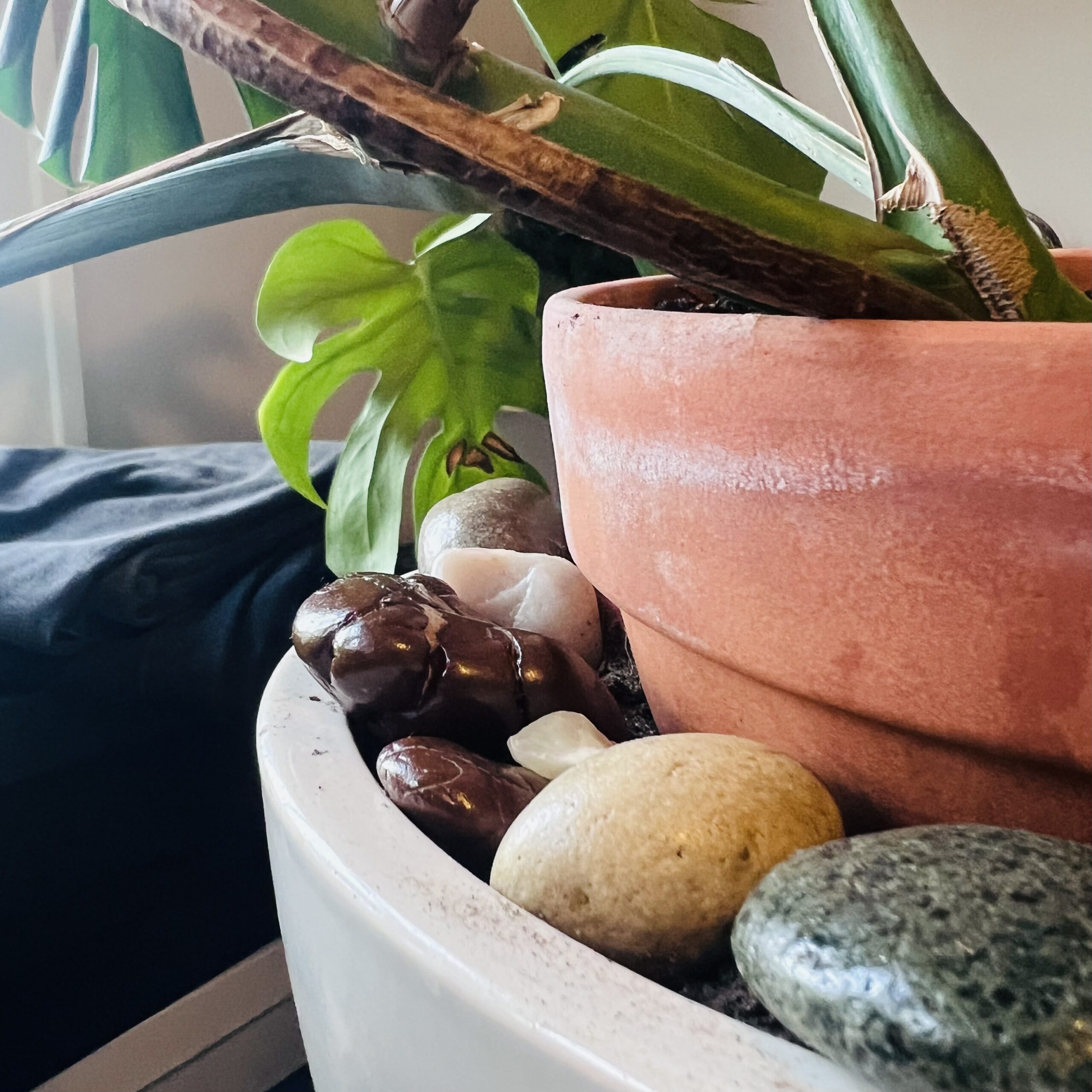 Online bereavement support with grief coach allie gadziemski of grounded grief coaching