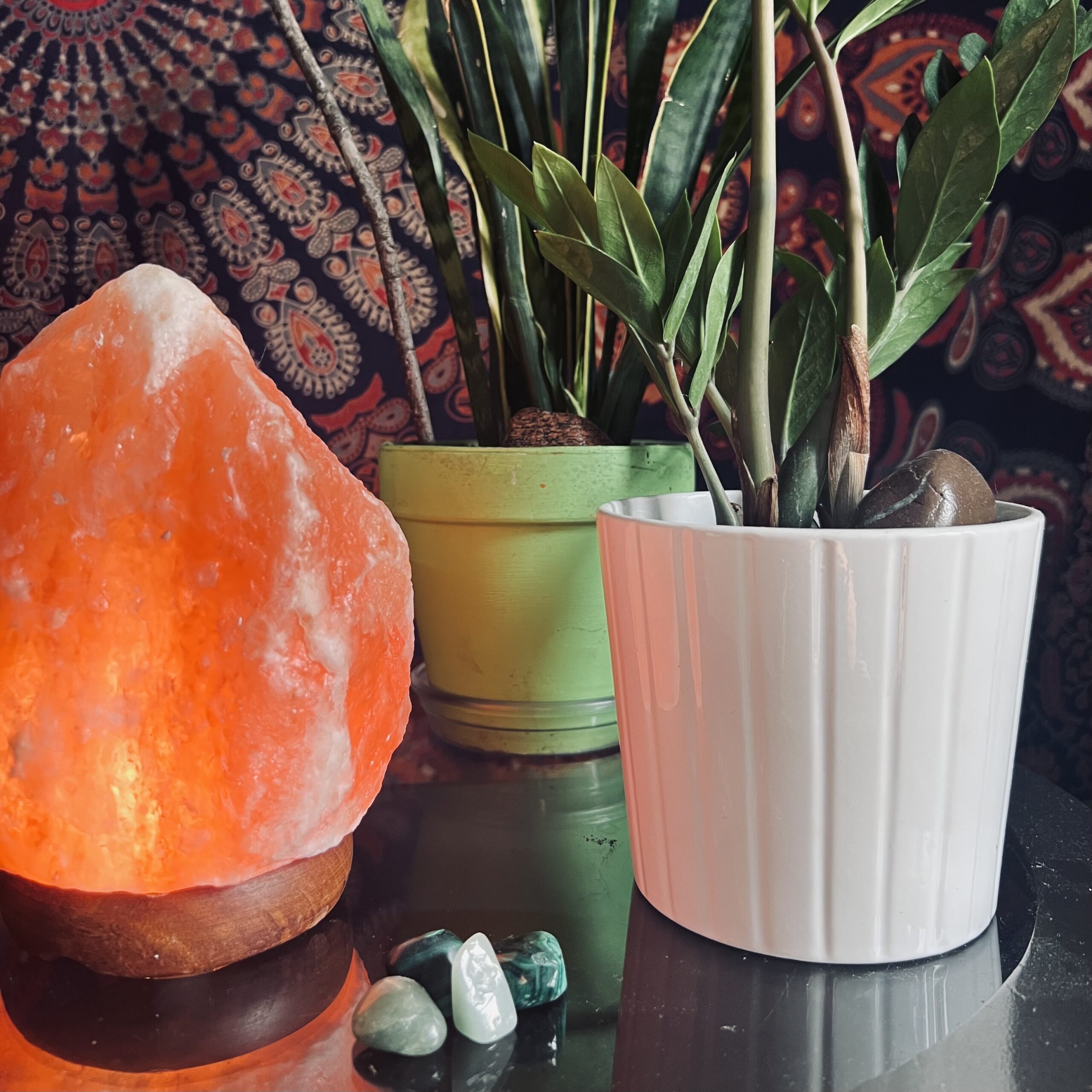 Himilayan salt lamp and plants with rocks, difference between coaching and counseling- Grounded Grief Coaching with Allie Gadziemski